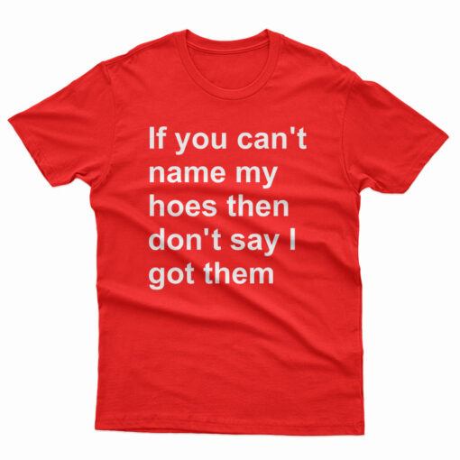 If You Can't Name My Hoes Then Don't Say I Got Them T-Shirt