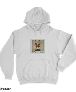 Sailor Moon Taylor Swift Parody Hoodie