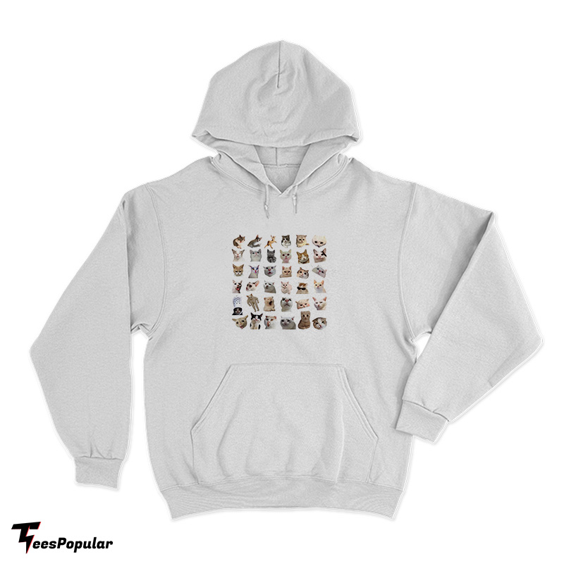 Hilarious Cat Meme Hoodie For UNISEX - Teespopular.com