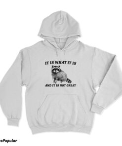 It Is What It Is And It Is Not Great Raccoon Hoodie